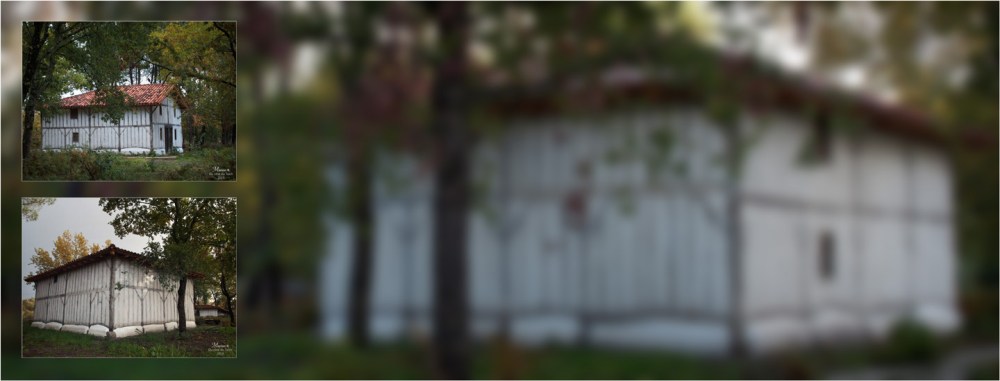 BLOG-PB213736 flou-689-716-conservatoire Landes Gascogne Sanguinet BLOG-PB213736 flou-689-716-conservatoire Landes Gascogne Sanguinet