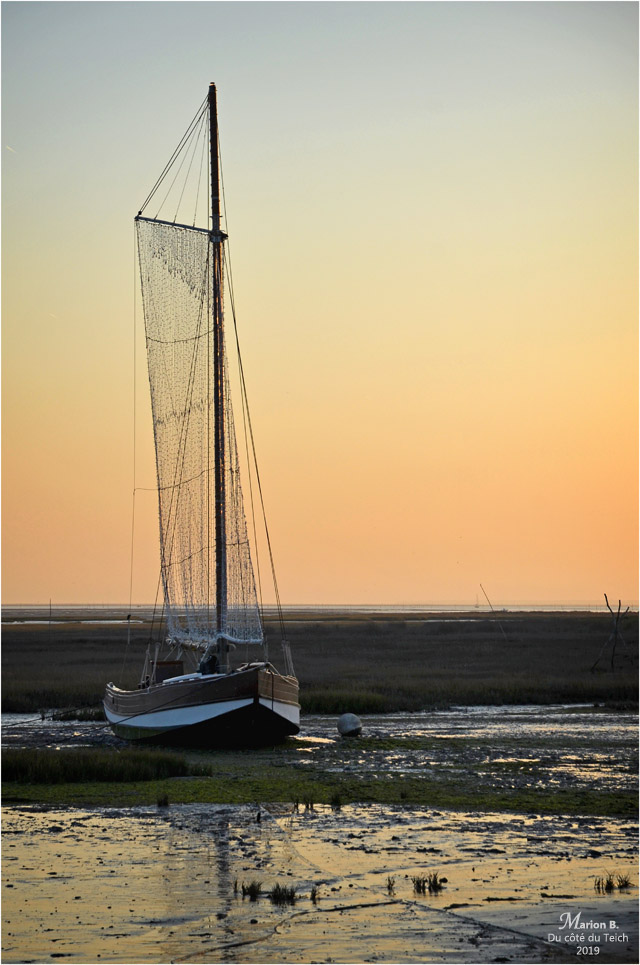 BLOG-DSC_48233-Escalumade Claouey