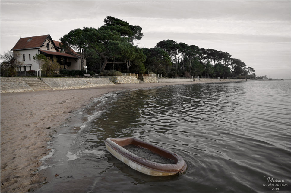 BLOG-DSC_48274-plage Taussat NC