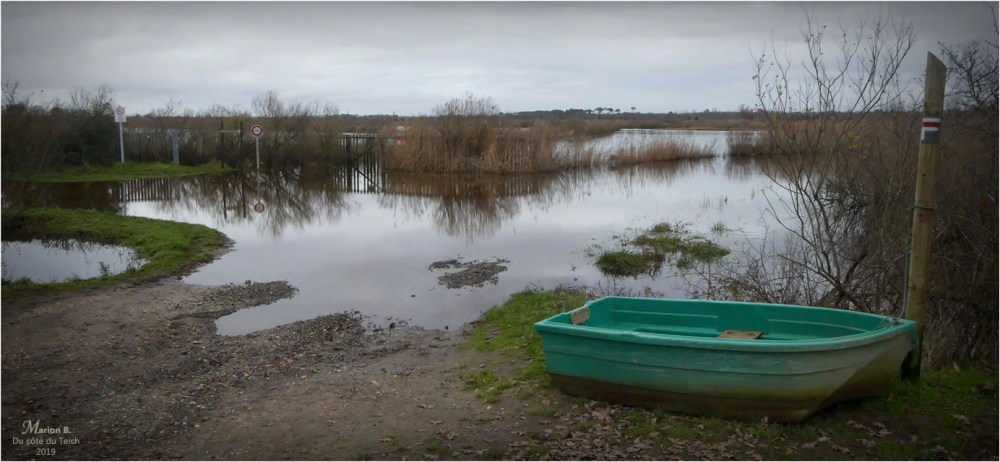 BLOG-P1000028-bannière inondations plaines le Teich