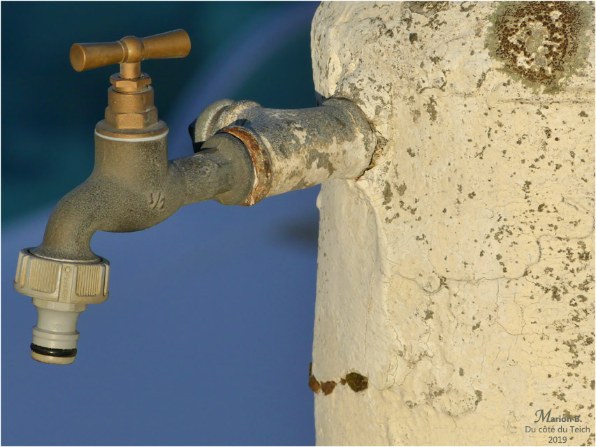 BLOG-P1000127-robinet port