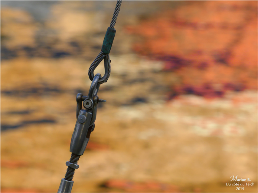 BLOG-P1000186-haubans et reflets