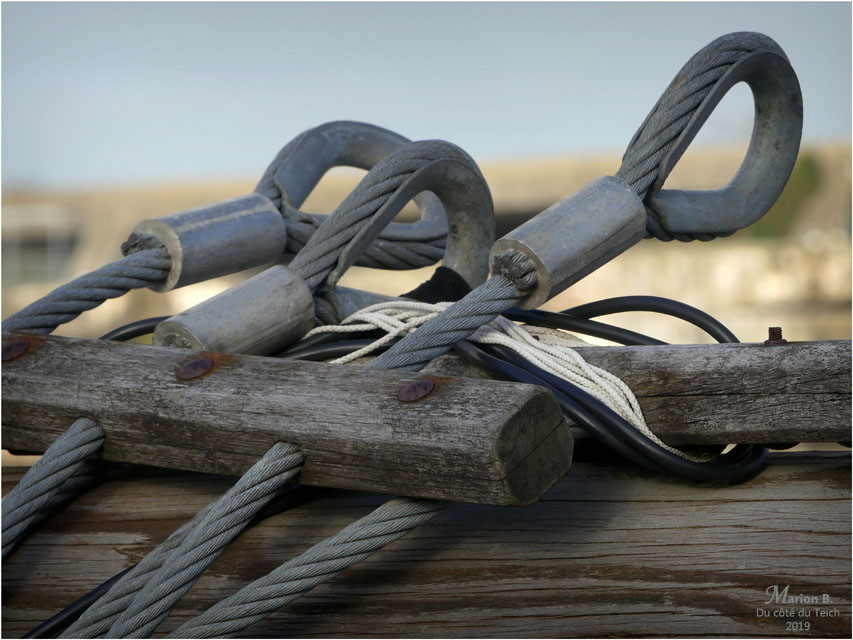 BLOG-P1000273-haubans