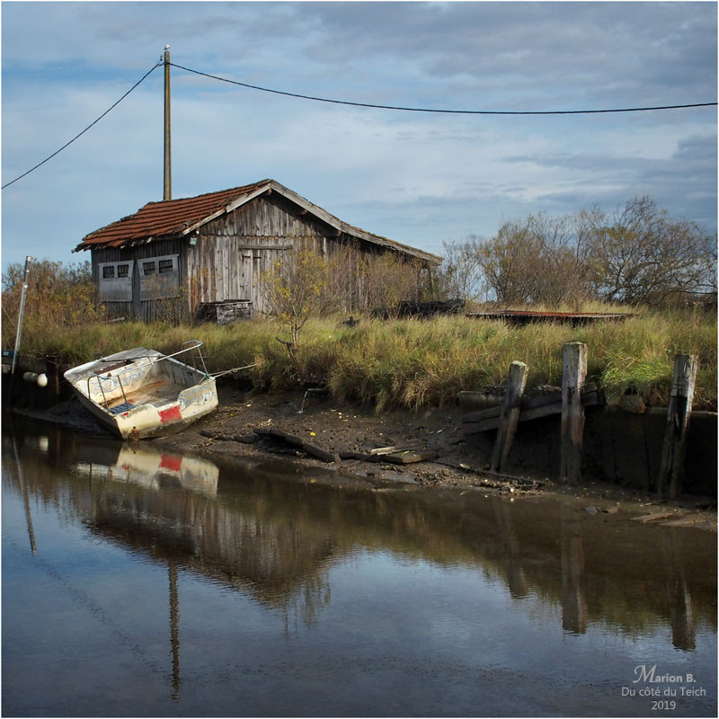 BLOG-PB263770-canelot la Teste