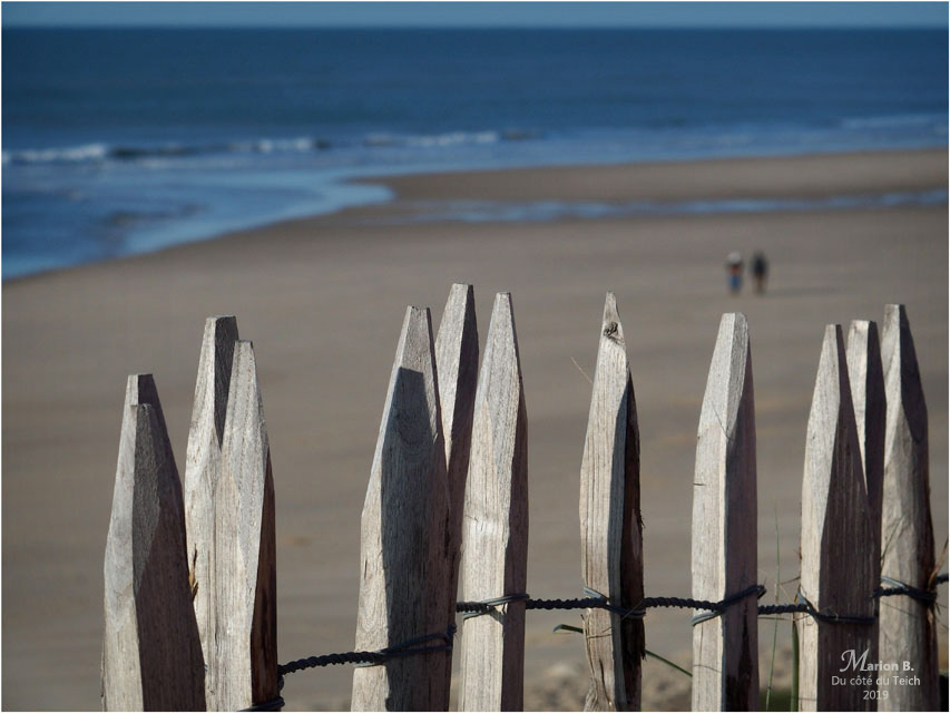 BLOG-PC033839-2-Lacanau océan