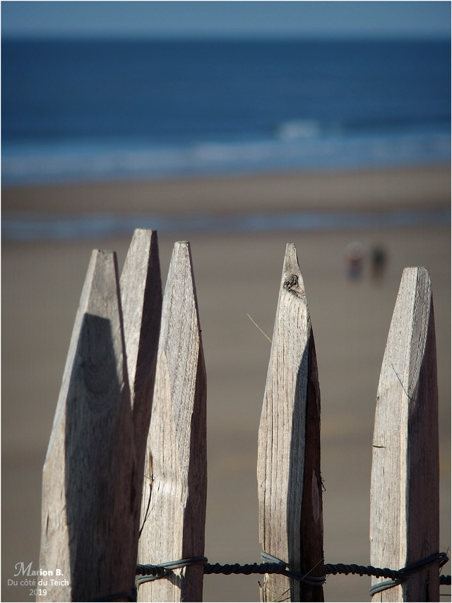 BLOG-PC033840-Lacanau océan