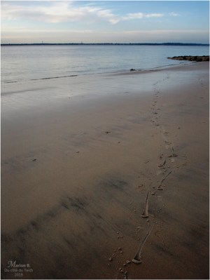 BLOG-PC043883-empreintes et rivage plage