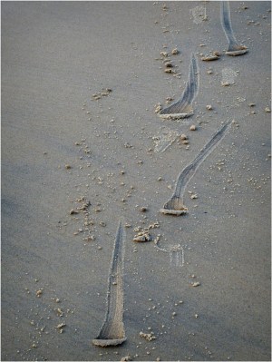 BLOG-PC043884-empreinte sable