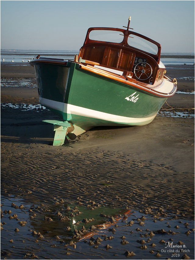 BLOG-PC053964-pinasse Lola Claouey