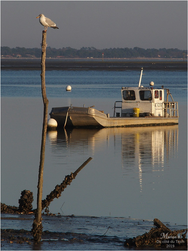 BLOG-PC053983-rivages Claouey