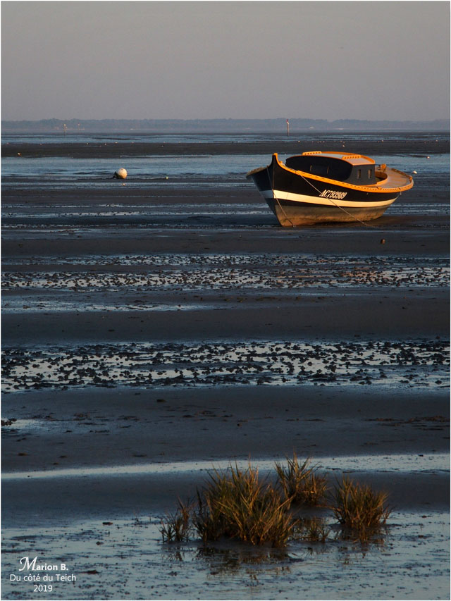 BLOG-PC053999-pinasse Claouey marée basse