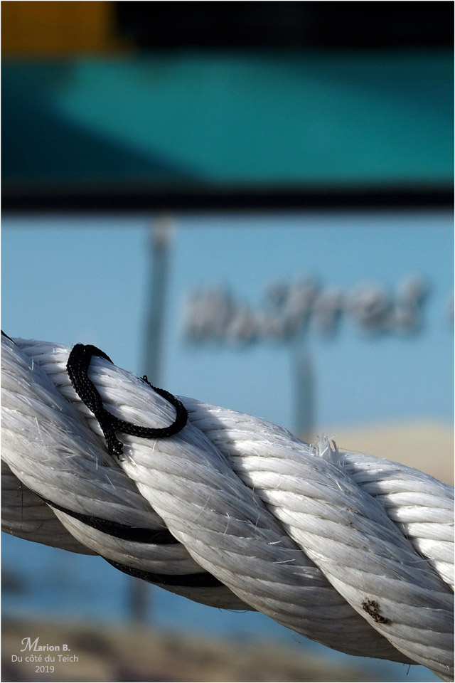 BLOG-PC104037-cabane à huîtres