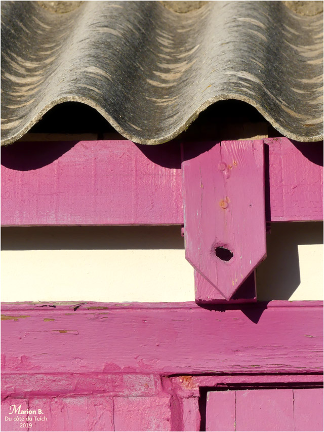 BLOG-P1000565-cabane porte rose