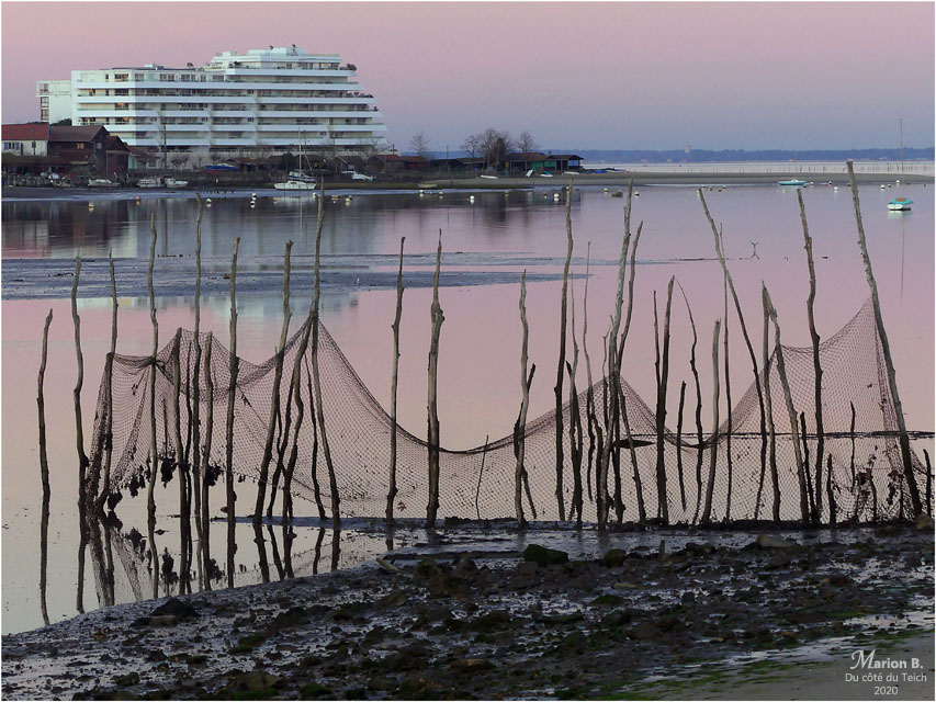 BLOG-P1000627-Mer et Sud pointe Aiguillon Arcachon
