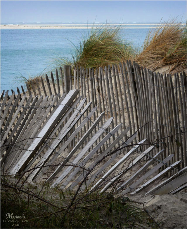 BLOG-P1000920-Petit Nice