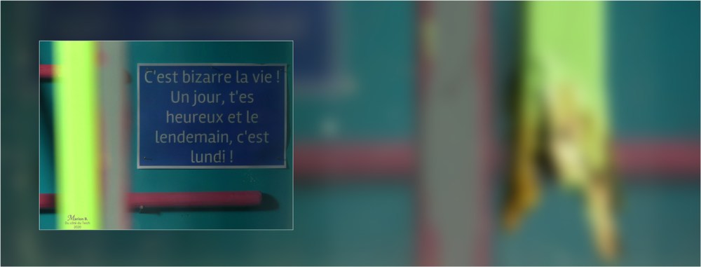 BLOG-P1010036-35-bannière heureux veille du lundi