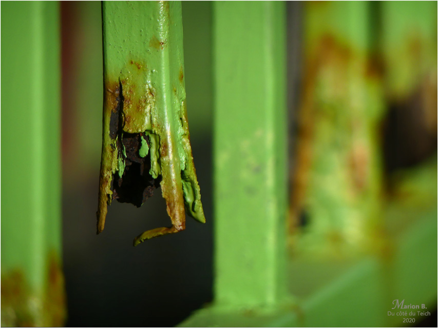 BLOG-P1010040-barreau rouillé