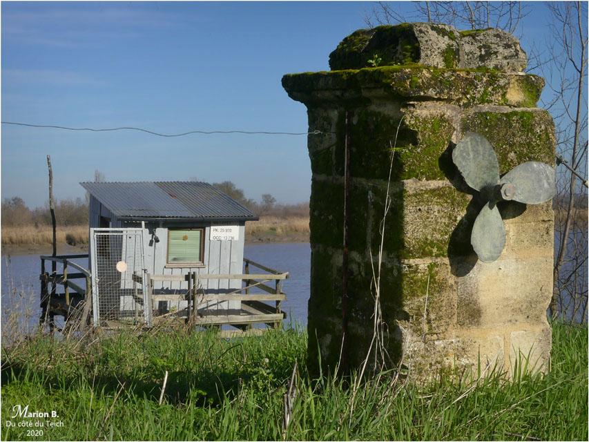 BLOG-P1010092-carrelet Macau BLOG-P1010092-carrelet Macau