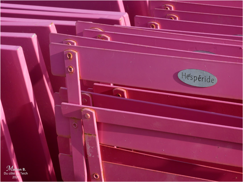 BLOG-P1010105-chaises pliantes roses