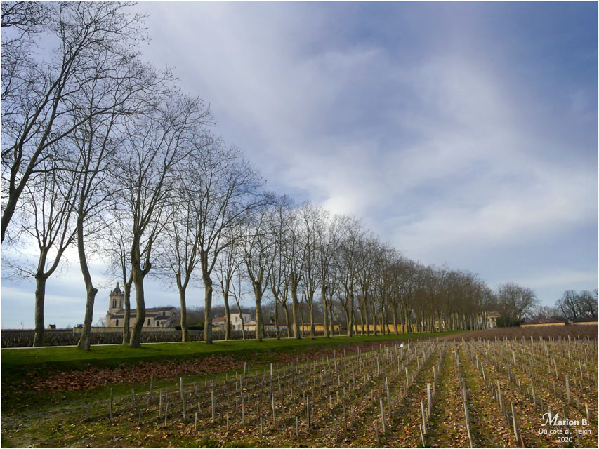 BLOG-P1010183-église St Michel et château Margaux