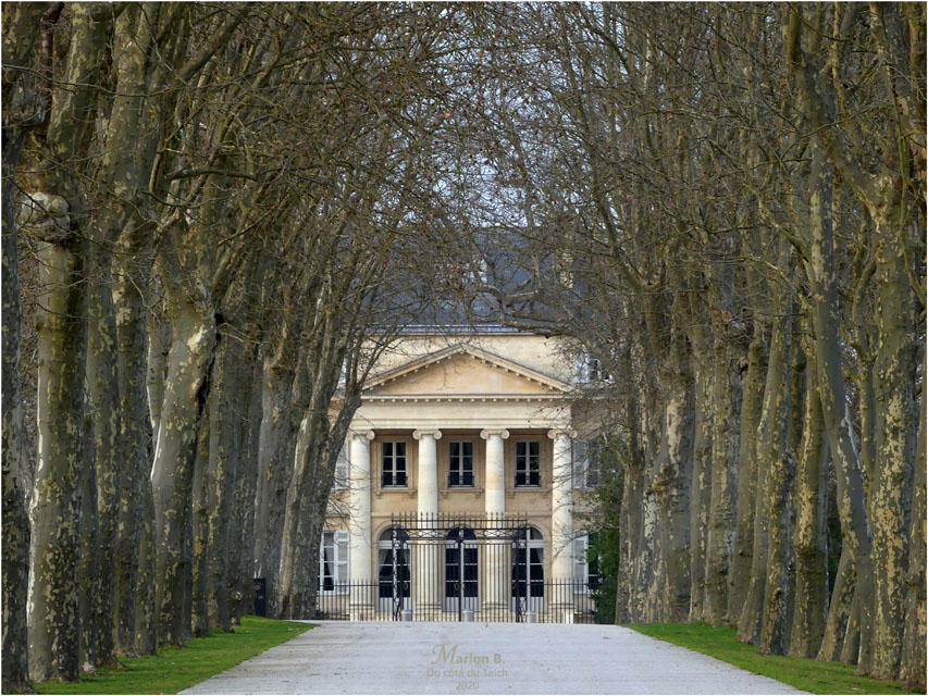 BLOG-P1010190-château Margaux hiver