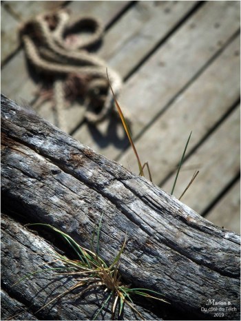 BLOG-P9182513-quai et cordage bateau Leyre