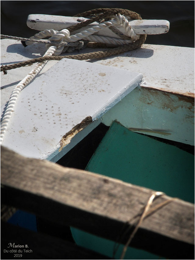 BLOG-P9182524-pinasse