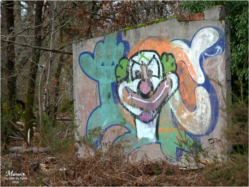 BLOG-P1010529-tag clown forêt
