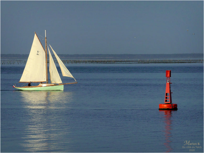 BLOG-P1010659-Sigma Bassin d'Arcachon