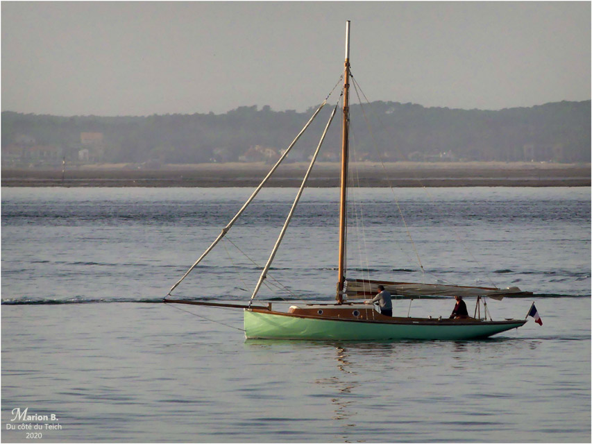 blog-P1010667-Sigma Bassin d'Arcachon