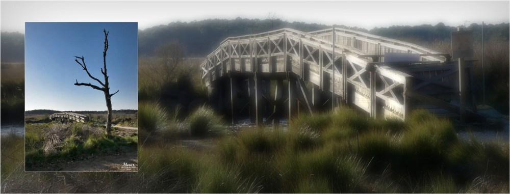 BLOG-P1010701-709 flou-bannière pont réserve naturelle Arès