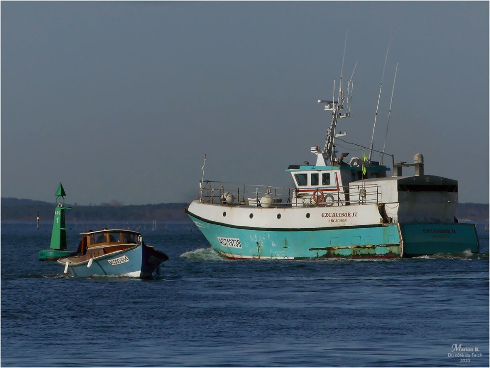 BLOG-P1010820-Excalibur et Tutonic