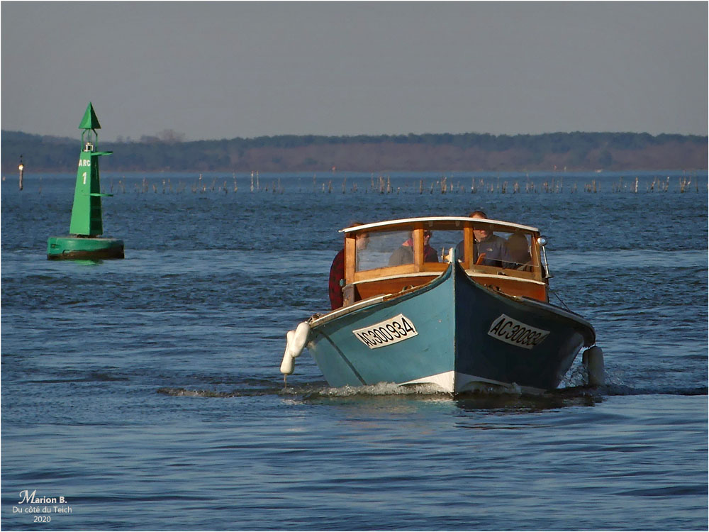 BLOG-P1010826-2-Tutonic