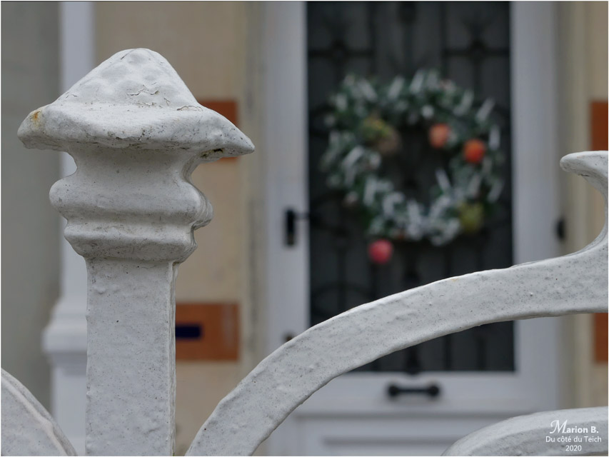 BLOG-P1010876-villa Arcachon