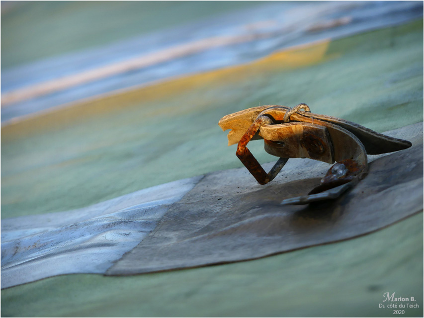 BLOG-P1020356-bâche