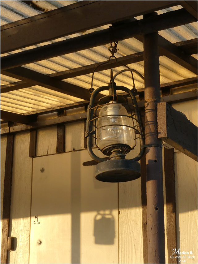 BLOG-P1020448-lampe tempête Biganos