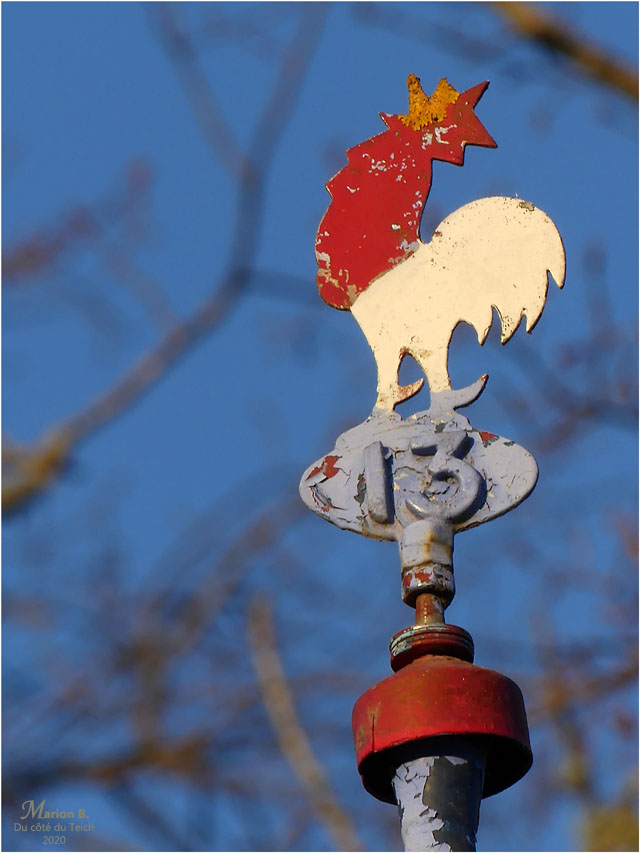 BLOG-P1020453-girouette Biganos