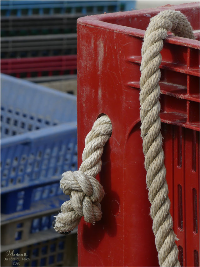 BLOG-P1020596-casiers et cordage