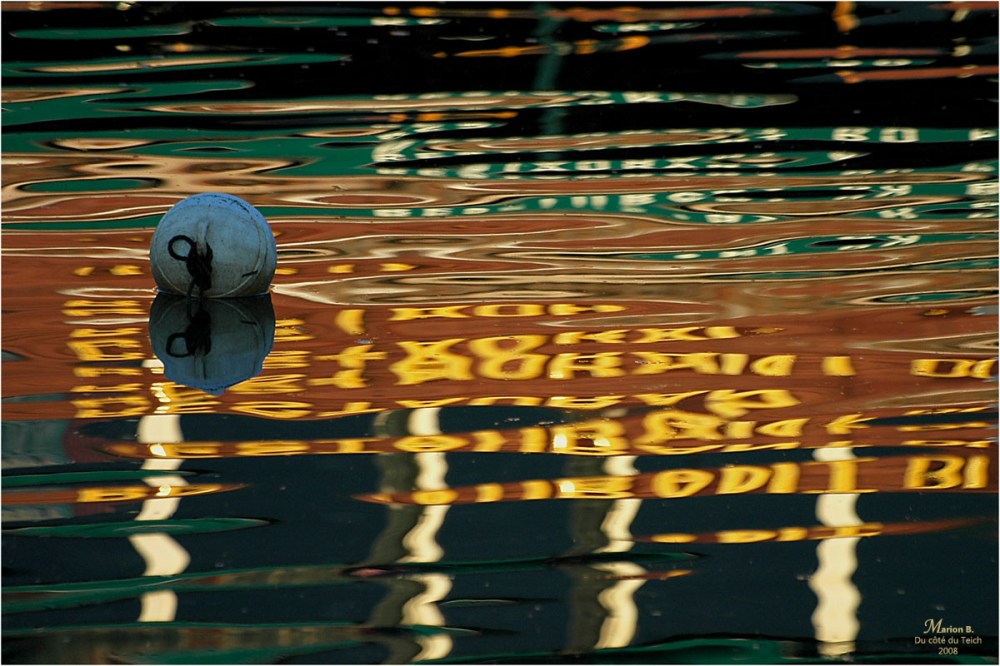 BLOG-DSC_6323-2-des mots dans l'eau