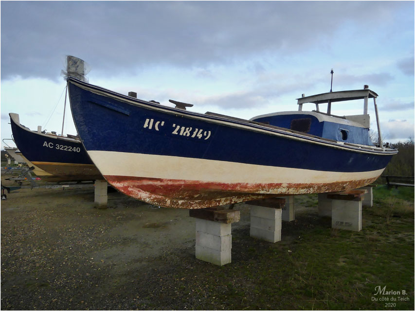 BLOG-P1020251-pinasses Audenge