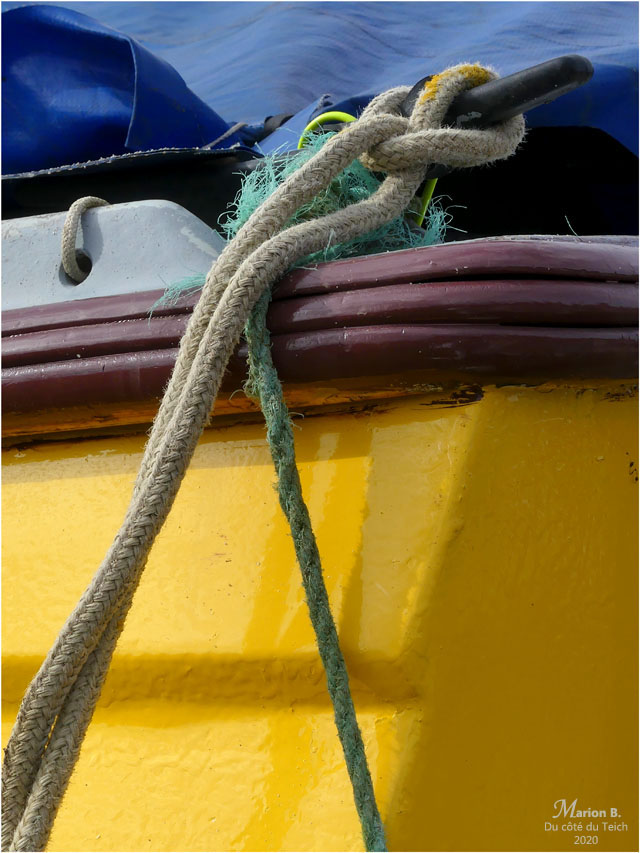 BLOG-P1020624-bâche Ptit Matlo