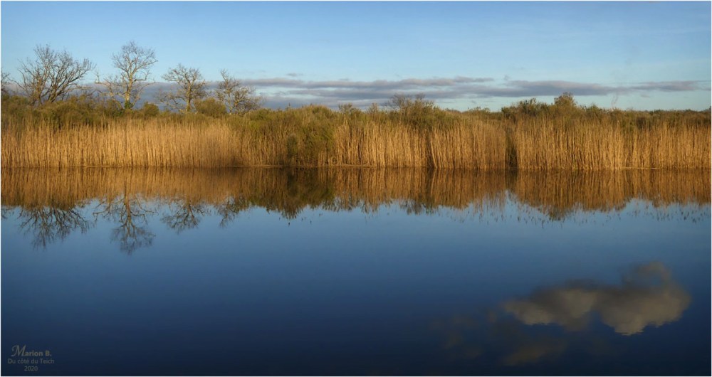 BLOG-P1020820-Eyre le Teich