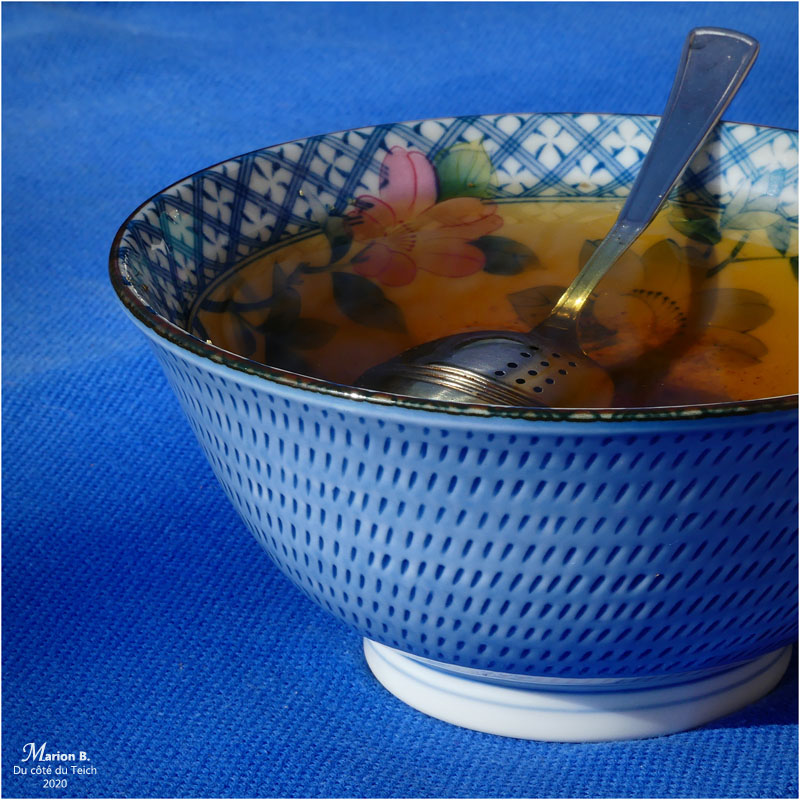 BLOG-P1020952-infusion sureau