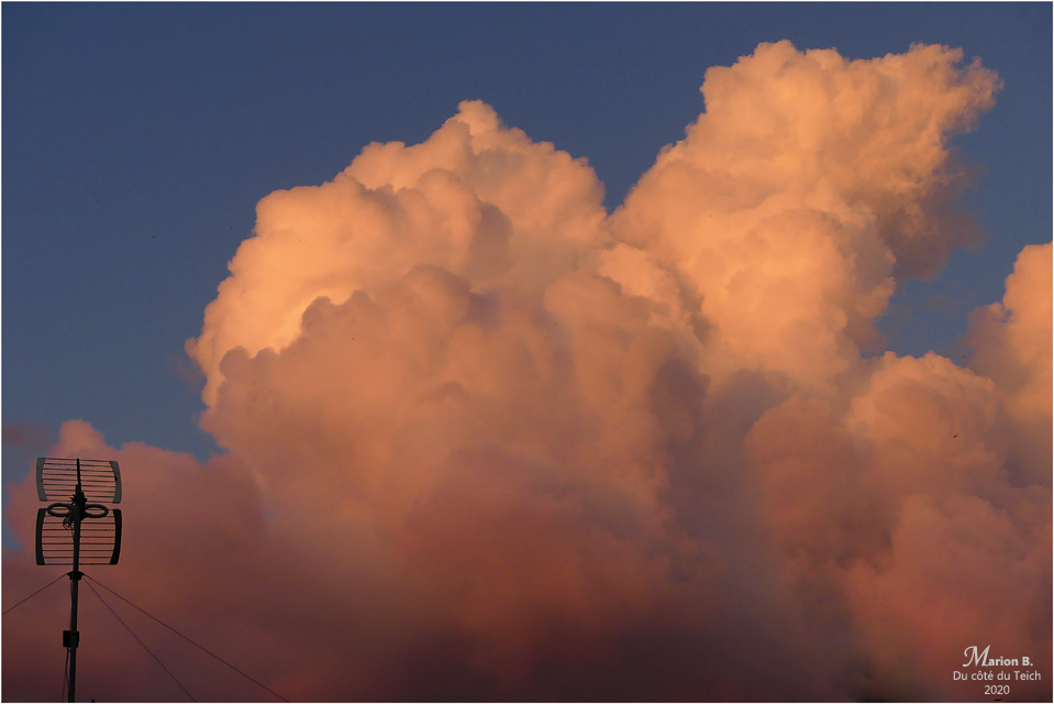 BLOG-P1030477-antenne et ciel rose