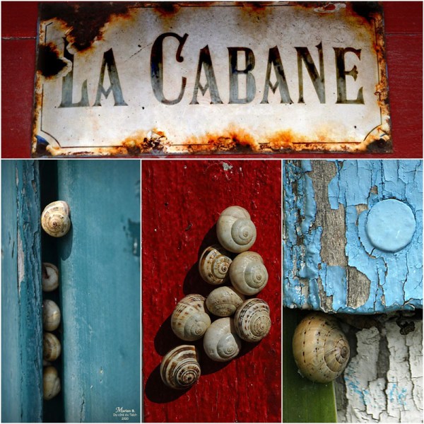 4 vues escargots cabanes 800