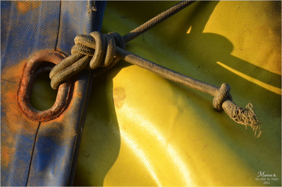 BLOG-DSC_09893-bache bleu jaune