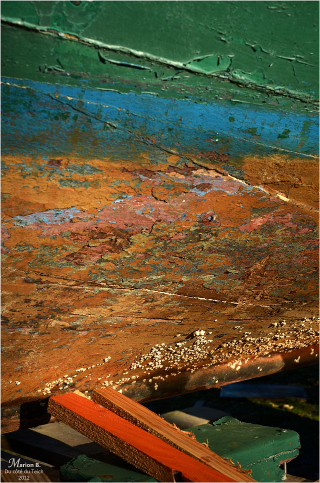 BLOG-DSC_18457-coque chaland Kekebus