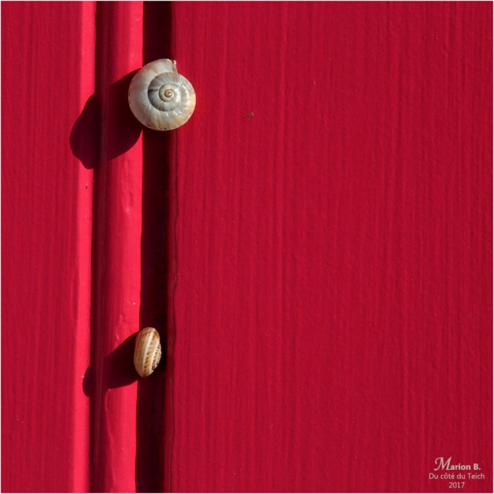 BLOG-P6249876-escargots porte rouge