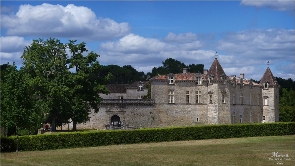 BLOG-P1040366-château Cazeneuve 33