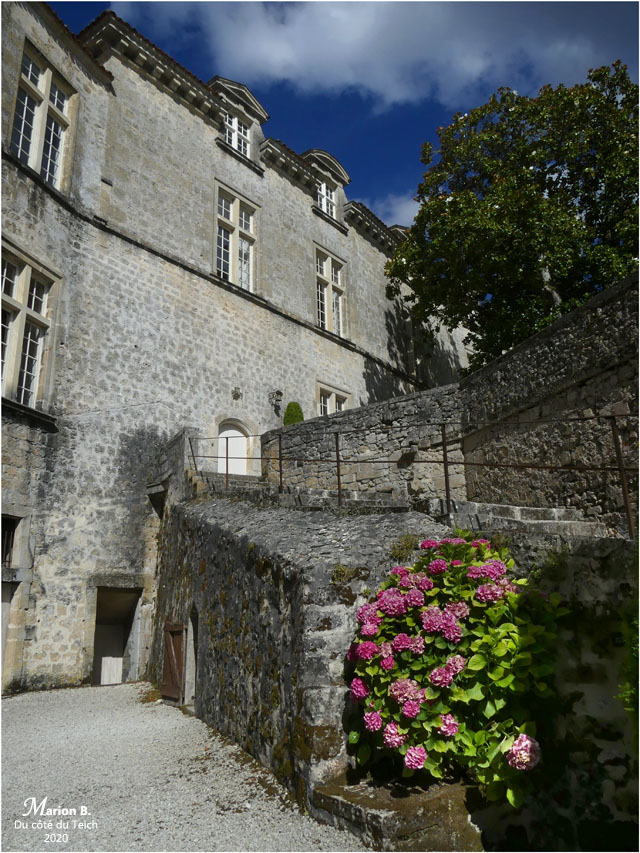 BLOG-P1040449-château Cazeneuve 33
